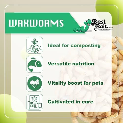 250 Count Live Waxworms