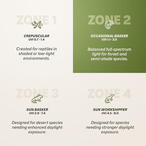 Reptile Systems T5 Ferguson Zone 2 Reptile Lamp – 24-in, 24-watt – Light for Reptiles, Chameleons & Geckos – Ideal for Tanks & Vivariums