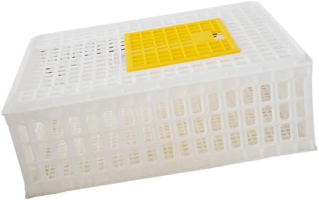 Poultry Crate for Transporting Birds, and Hamsters, White