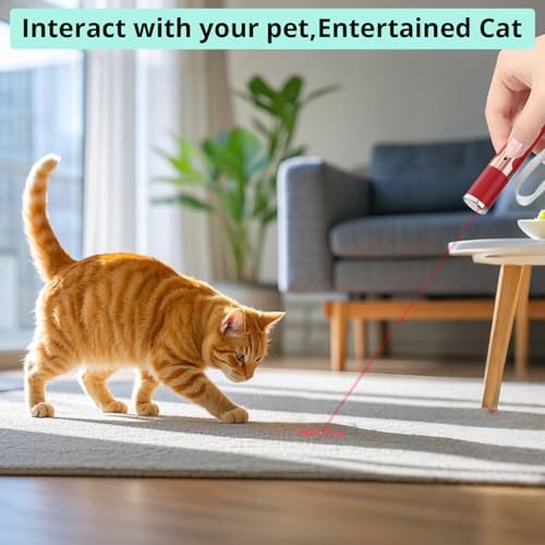 TBTeek Cat Toys, with Metal Case, 2 Pieces, Rechargeable (Red - Image 2