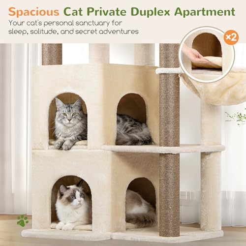 Globlazer Cat Tree Tower for Indoor Cats, Sturdy Adult Cat Tree House for Large Adult Cats with 2 Platform, 6 Cat Scratching Post, 2 Cat Caves, Dangling Toys, S63, 63 inch, Beige - Image 3