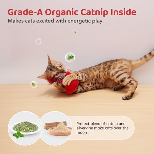 Potaroma Cat Toys Chirping Birds 2 Pcs with Catnip SilverVine, Interactive Cat Kicker, Lifelike Birdie Tweets, Indoor Kitty Kitten Exercise Toys 4.0" - Image 6