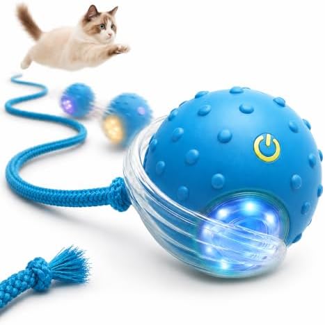 Interactive Rolling Cat Ball, Motion Activated Automatic Cat Toy by outdoll