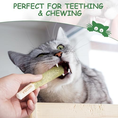 Nocciola 3 Pack Catnip Toys for Cats, Funny Cat Toys Filled with 100% Pure Organic Catnip, Safe Kitten Teething Chew and Kicker Toys, Stress Relieving Fun for Indoor Cats - Image 5
