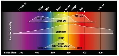 Reptile Systems New Dawn LED ProTen Fixture – Full Spectrum 36-48in 28w Lighting with Integrated Cooling – for Terrariums & Vivariums – Highlights Natural Behavior & Color