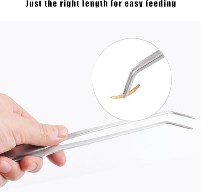 3Pcs Reptile Metal Feeding Tongs, Snake Tank Long Tweezers Fit Bearded Dragon Tarantula Spider Gecko Lizard Frog Turtle Ball Python Aquarium Terrarium