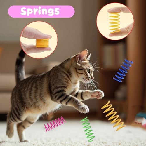 Cat Toys for Indoor Cats 40 PCS Kitten Toys - Image 6