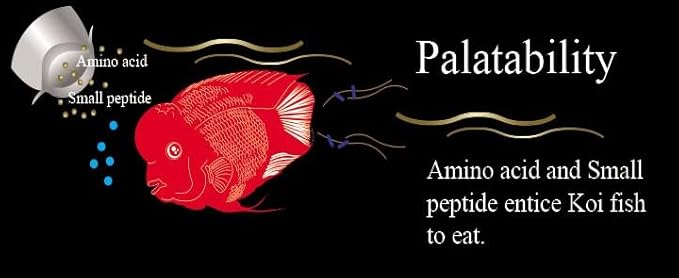 Aqua Master Red Parrot Cichlid Fish Food, 500g