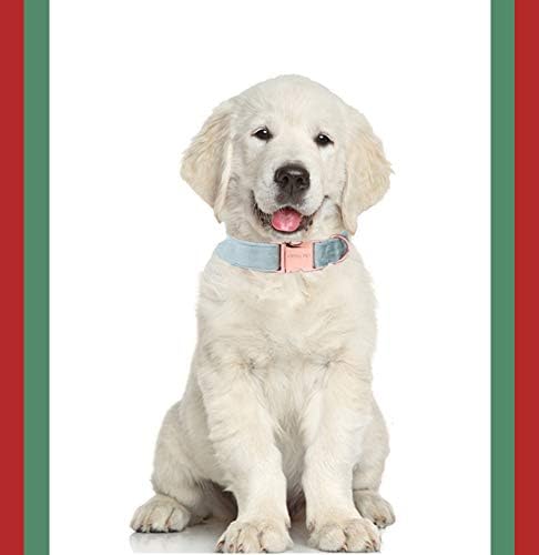 ARING PET Dog Collar and Leash, Velvet Dog Collar and Leash Set, Soft & Comfy, Adjustable Collars for Dogs