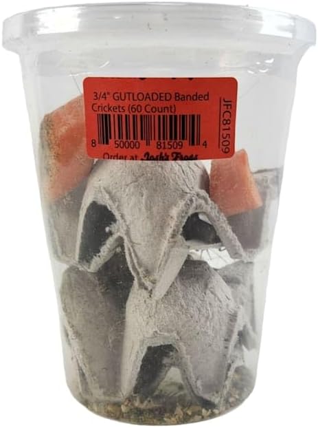 Josh's Frogs 3/4" GUTLOADED Banded Crickets (60 Count)