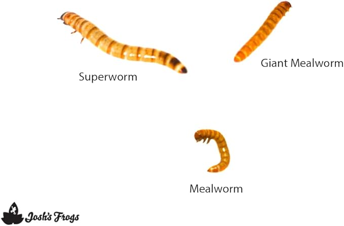 Josh's Frogs Superworms (100 Count)