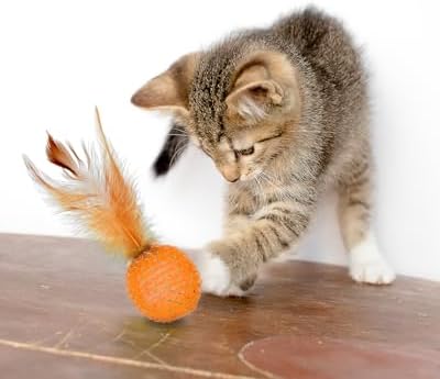 PET SHOW 10 Pack String Toys Cat Balls for Indoor Cats Kitten - Image 6