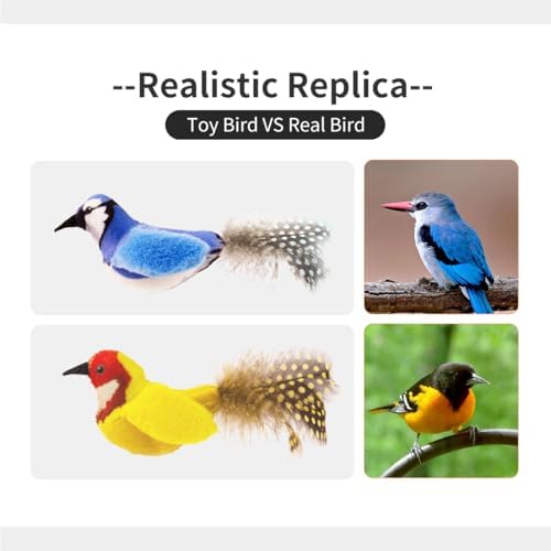 Interactive Cat Toys for Indoor Cats,Catnip and Feather,2Pcs - Image 6