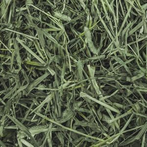 Standlee Western Timothy Grass Hay Small Animal Food for Rabbits, Guinea Pigs, and Chinchillas, 20 lb. Box