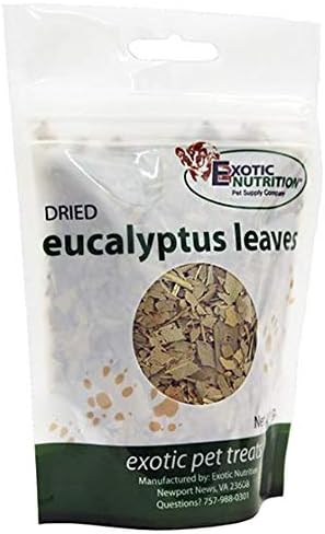 Exotic Nutrition Eucalyptus Leaves (60 g.) - Healthy Natural Treat - Native Sugar Glider Food - 100% Natural Dried Eucalyptus Leaves