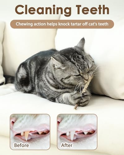 Tocirelo Cat Toys Silvervine Sticks, Natural Catnip Toys for Indoor Cats - Image 3