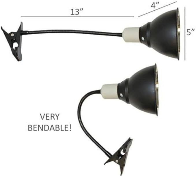 Exotic Nutrition Gooseneck Lamp with Dome