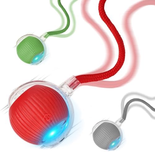 Goosheep 2025 New 3Pack Cat Ball Kitten Toys for Indoor Interactive Kitty Ball Toy Speedy Tail 360?? Automatic Rolling(Red Grey Green) by Goosheep