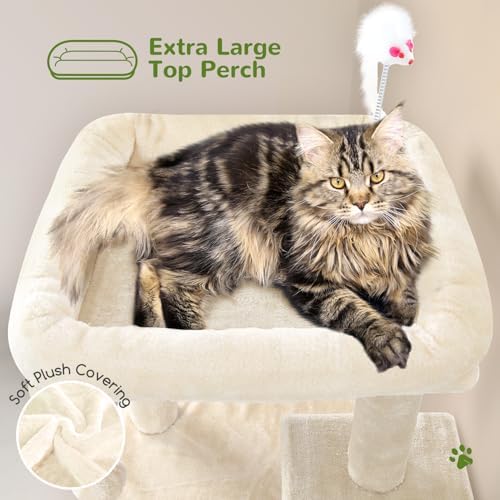 Globlazer Cat Tree Tower for Indoor Cats, 50-inch Adult Cat Tree House for Large Adult Cats with Steps, Scratching Post, 2 Cat Caves, Dangling Toys, FC50, Beige - Image 3