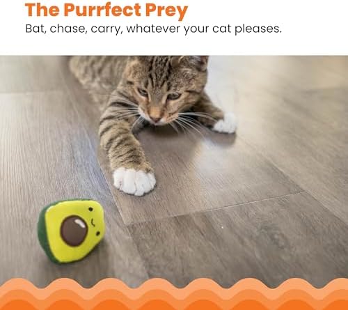 Catstages Lil' Avocato Cat Toy, Interactive Plush Avocado with Catnip, Kicker & Chew Toy for Indoor Cats, Encourages Active Play, Mental Stimulation, Dental Health, and Solo Fun, Green (Pack of 2) - Image 2