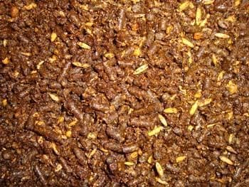 Triple Crown Growth Foal & Mare Feed, Textured Feed for Young Horses, Broodmares & Breeding Stallions, Horse Feed, 50 lbs