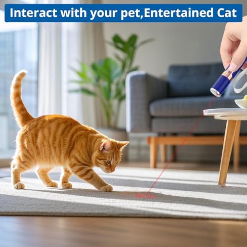 TBTeek Cat Toys, with Metal Case, 2 Pieces, Rechargeable (Blue) - Image 2