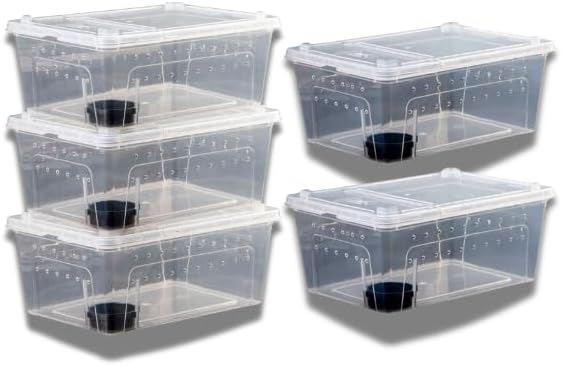 Critter Keeper 5-Pack Reptile Habitat - Large 12.59"x8.66"x5.9" Transparent Plastic Terrarium with Feeding Bowls, Ventilated Cricket Cage for Gecko, Tarantula, Snake, Frog, Lizard, Spider & Scorpion