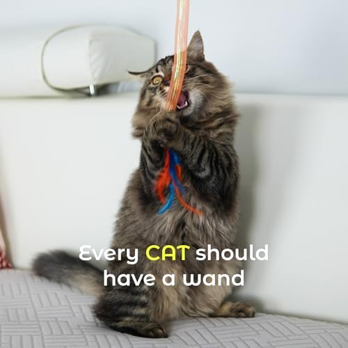 Cat Toys for Indoor Cats, Interactive Wand Toy 3 Pack with Feather and Bell - Image 2