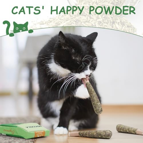 Nocciola 3 Pack Catnip Toys for Cats, Funny Cat Toys Filled with 100% Pure Organic Catnip, Safe Kitten Teething Chew and Kicker Toys - Image 3