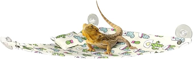 HAICHEN TEC Bearded Dragon Hammock Swing Hanging Bed Lounger Ladder with Adhesive Hooks and Suction Hook for Reptile Bearded Dragon Leopard Gecko Hamster Lizard (Cactus Pattern)