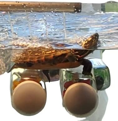 Aquarium Decor Plastic Plants Suction Cups 2 Large Bottles Turtles Platform Pet Supplies Handmade