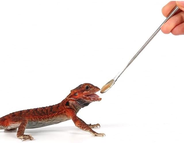 2Pcs Silver Crested Gecko Food Mixing Spoon Reptile Stirring Food Feeding Spoon Suitable for Crested Geckos, Lizards, Bearded Dragons,Chameleons and Other Reptiles and Amphibians