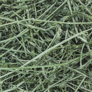 Standlee Western Alfalfa Hay Small Animal Food for Rabbits, Guinea Pigs, and Chinchillas, 12 lb. Box