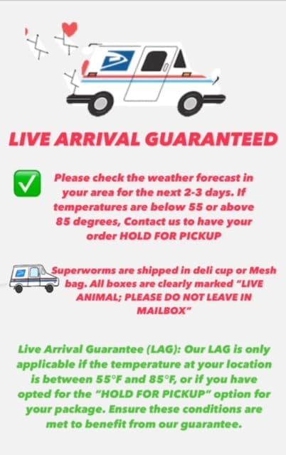Live Hornworms 24-30+ Counts Per Cup - Super Variety Meal Worms and Live Insects Reptile Treat for Bearded Dragons, Chameleons, Geckos, and Other Reptiles