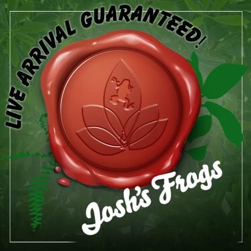 Josh's Frogs Superworms (100 Count)