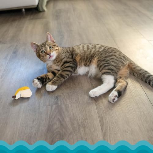 Catstages Dental Banana Cat Toy with Catnip, Dental Mesh & Crinkle Sound, Interactive Kicker for Indoor Cats & Kittens, 5.3" - Image 6
