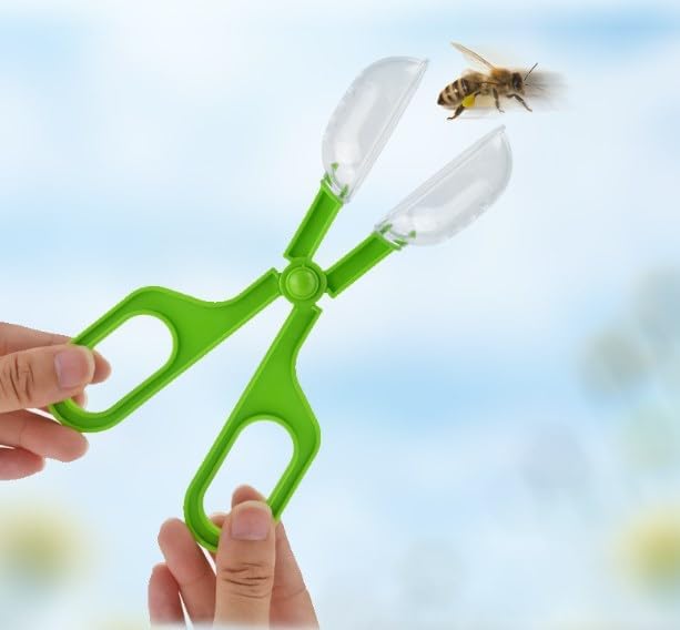 Reptile Feeding Clamp Poop Tongs Reptile Feeding Tool Reptile Poop Scoop with Vents for Tortoise Lizard Spider (Green) hamster poop scoop