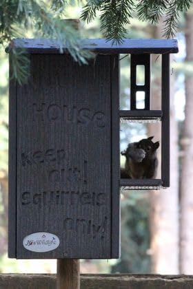 JCS Wildlife Ultimate Wooden Squirrel House, Multi-Tier Squirrel Nesting House with Predator Guards, Weather-Resistant Recycled Poly Lumber, Easy-Clean Tree House for Outside, Blue & Gray