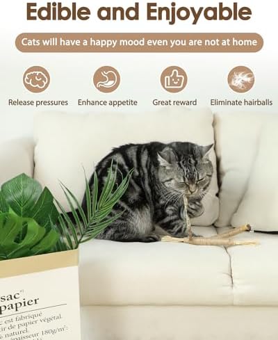 Tocirelo Silvervine Sticks with Feathers for Indoor Cats, Kitten Chew Toys - Image 4