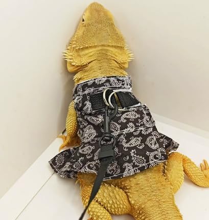 Bearded Dragon Harness and Leash Skirts Set Adjustable Reptile Lizard Leash Rope Dresses Clothes Starter Kit Accessories for Small Animal Outdoor Walking Training (Black)