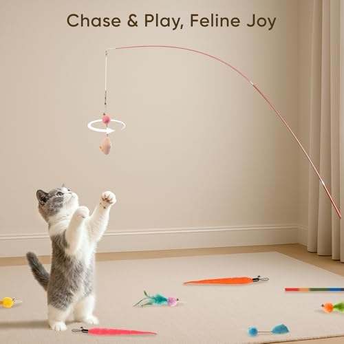 Cat Toys for Indoor Cats, 11 Packs Interactive Cat Wand Toy Set with Feather Toys&Ribbon Refills,Retractable Cat Wand with Bell Refills for Kittens Play and Exercise - Image 6