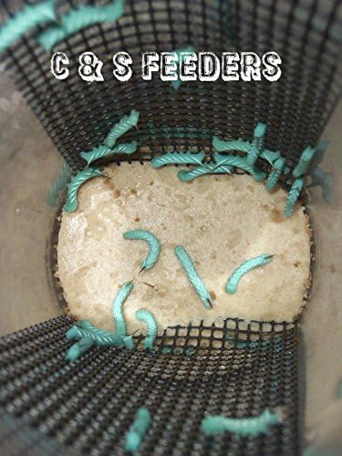75ct (3 x 25ct Cups) Live Hornworms by DBDPet | Live Arrival is Guaranteed