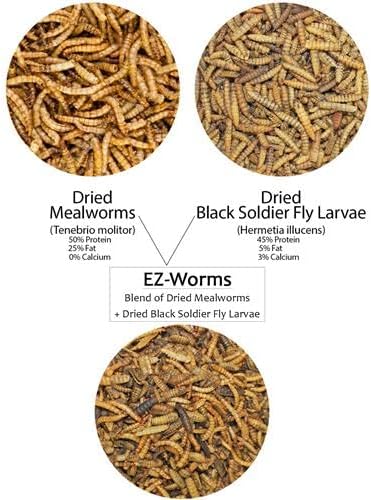 EZ-Worms (10 lb) - Blend of Dried Mealworms & Black Soldier Fly Larvae (BSFL) - Healthy Insect Treat - Chickens, Bluebirds, Sugar Gliders, Hedgehogs, Squirrels, Skunks, Reptiles, Turtles, Fish