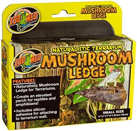 Zoo Med Naturalistic Terrarium Mushroom Ledge Small (7" Long x 4.5" Wide) - Pack of 3
