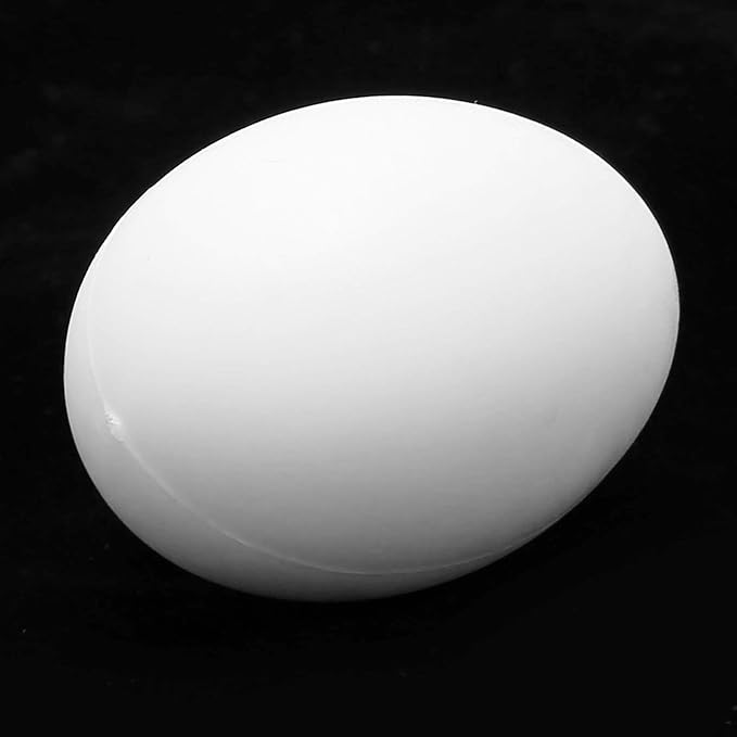 50pcs Pigeons Egg Plastic Simulation Hatching Breeding Supplies for Birds Fake Pigeons Egg Solid