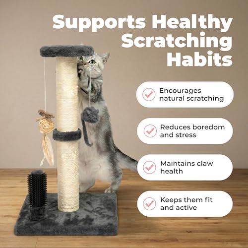 Best Pet Supplies Catify Cat Scratching Post - Gray H: 25" - Image 4