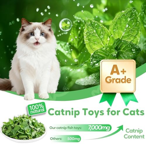 Rishoesu 3 Pcs Interactive Cat Toys Cat Pillows, Soft and Durable Crinkle Sound Catnip Toys, for Indoor Cats Funny Kitten Toys Exercise - Image 2