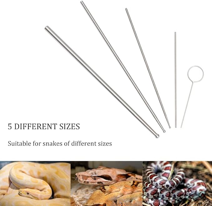 Snake Probe Kit Professional 5 Pieces Snake Sexing Probes, Stainless Steel Reptile Gender Detection Tool for Different Size Snakes