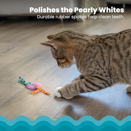 Catstages Kitty Chew Wheel, Dental Cat Toy with Catnip Oil, Teeth Cleaning, Healthy Chewing, Boredom Relief, Kicking & Batting for Kittens and Adult Cats, Purple (Pack of 2) - Image 3