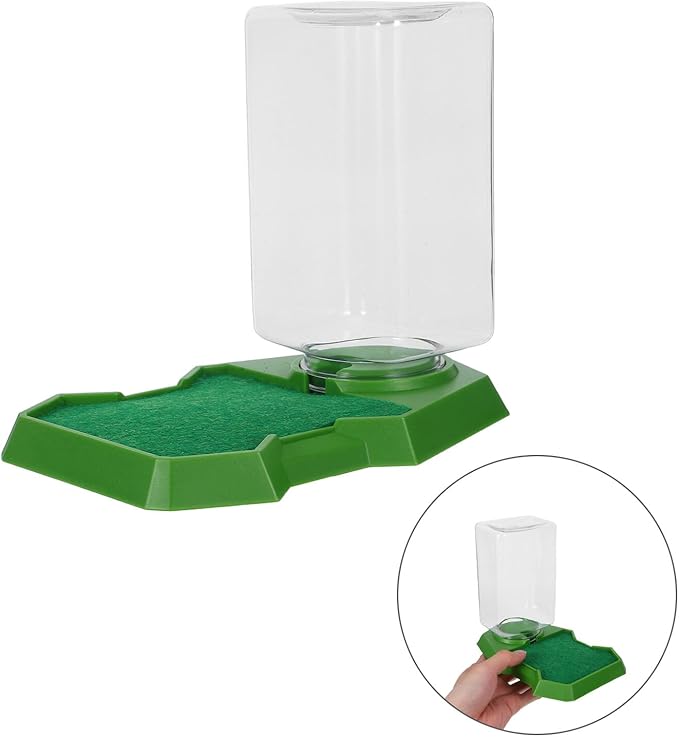 Healifty Reptile Feeding Box and Water Dispenser for Lizards, Green Hydration Dish for Gecko and Tortoise Terrariums, 1pcs Pet Water Bowl for Reptiles and Amphibians